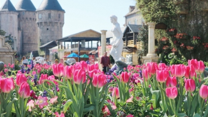 Sun World to offer 1,000 free entrance tickets during Tet