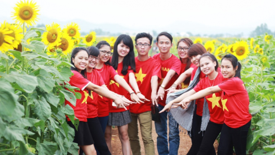 Nghe An to host Vietnam’s biggest sunflower festival 