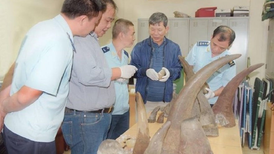 Vietnam seizes 13 rhino horns shipped from South Africa