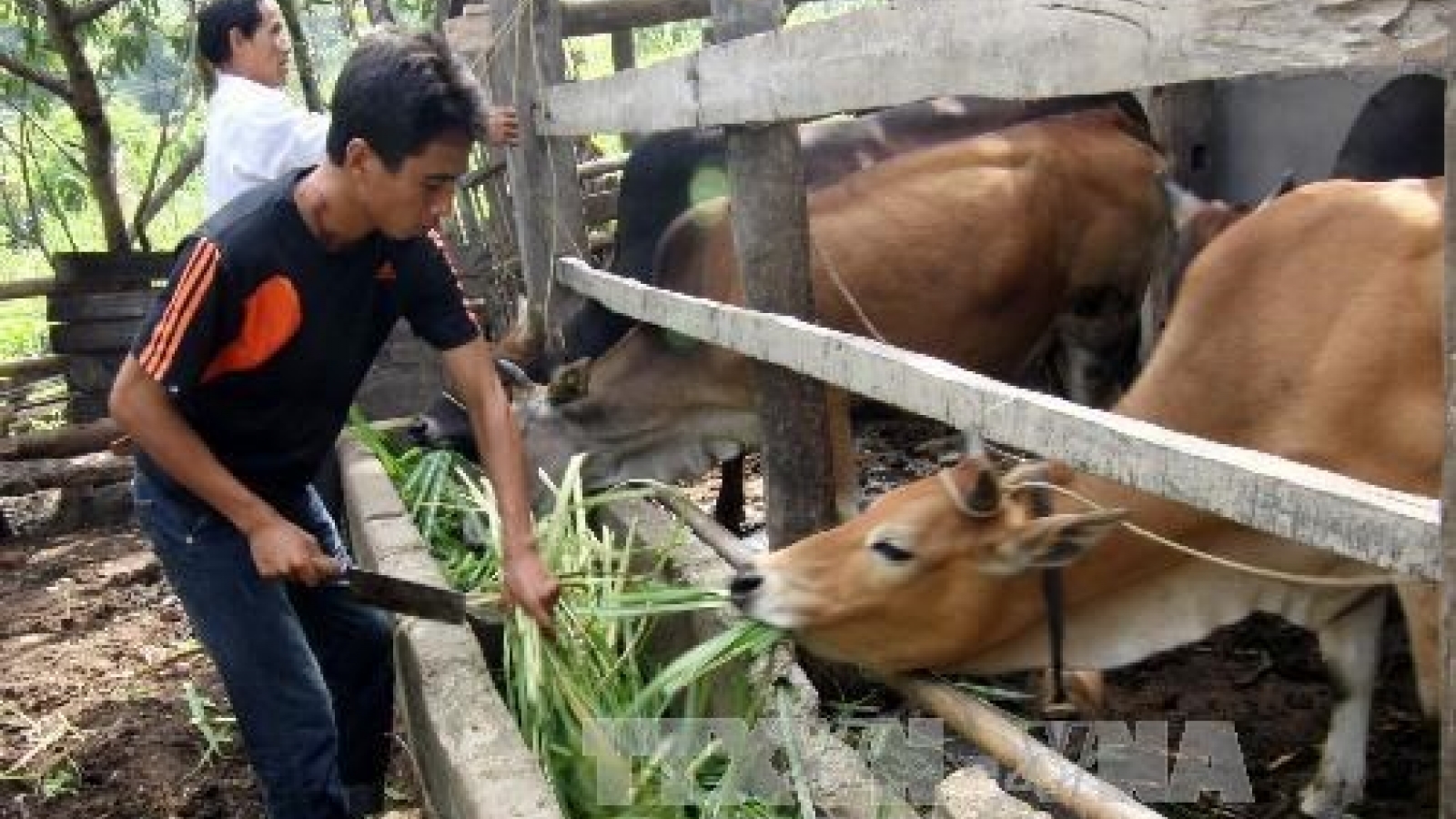 Tien Giang to step up sustainable poverty reduction