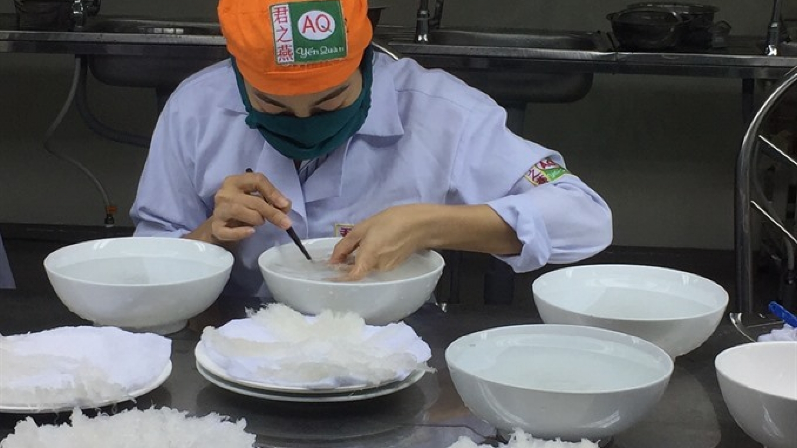 Building a brand for Vietnam bird nest
