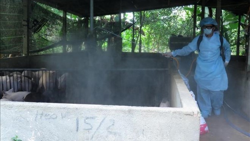 
        Vietnam on alert for possible outbreak of African swine fever
                              