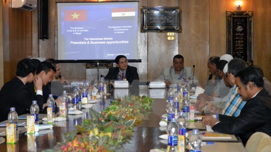 Vietnam promotes investment in Egypt’s Aswan province