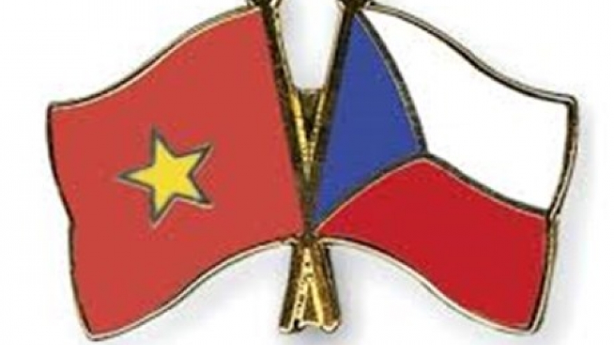 Vietnam-Czech agreement on transfer of sentenced persons ratified