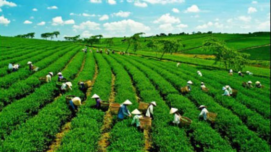 Vietnam to receive ODA of US$3.9 million for green growth
