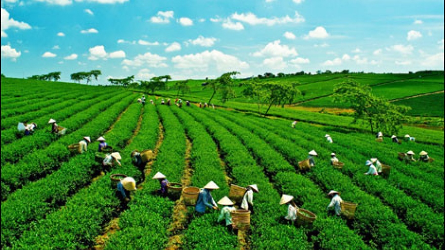 National Strategy on Green Growth integrated into local development