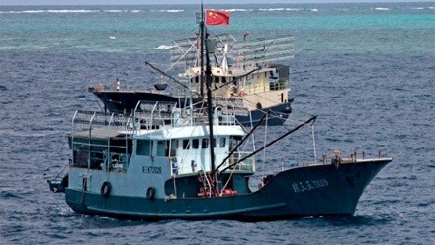 Chinese fishing boat warned for entering Vietnamese waters