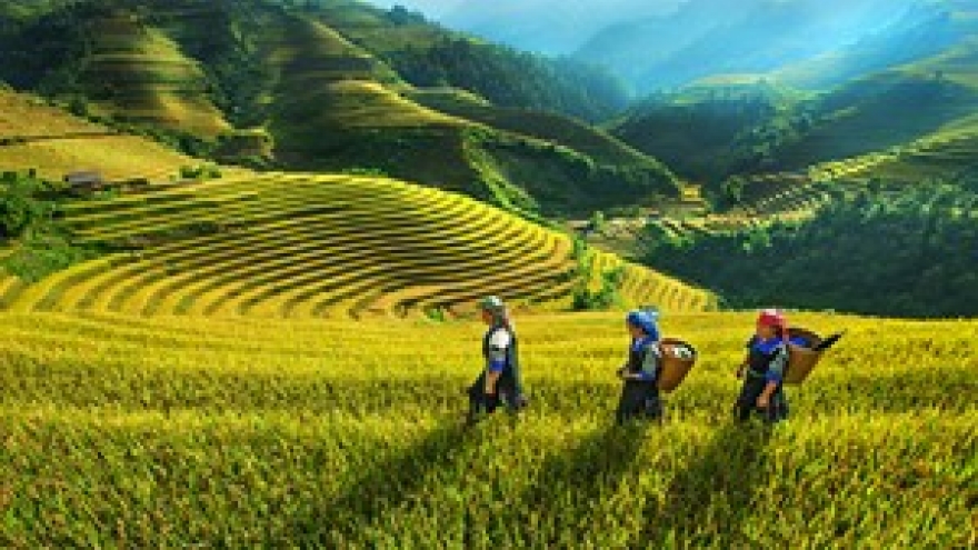 Beautiful northwestern region in pictures 