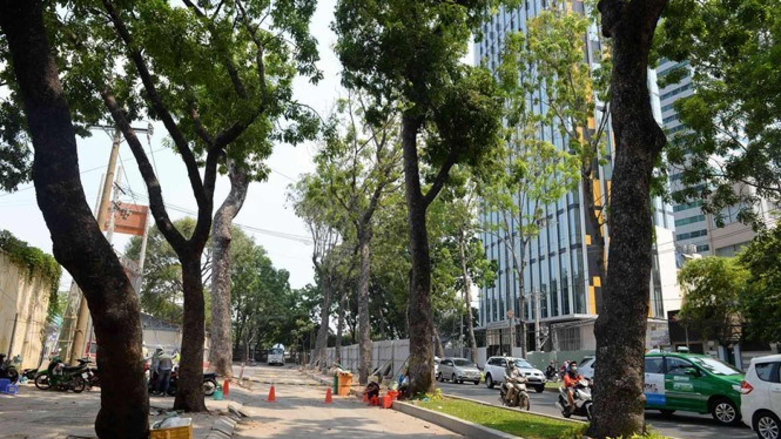 HCMC to sacrifice more trees for subway