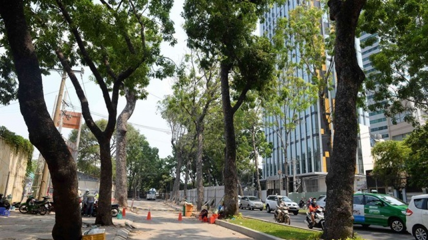 HCMC to sacrifice more trees for subway