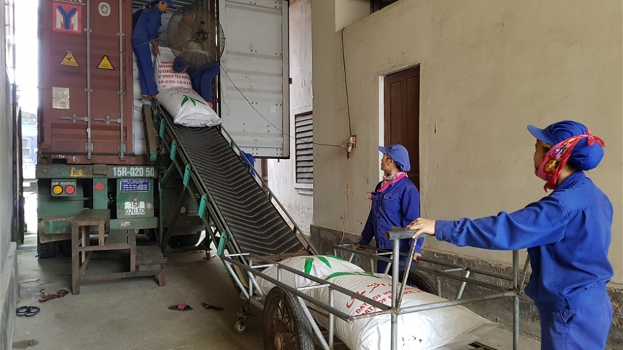 Ha Tinh province’s exports on sharp rise