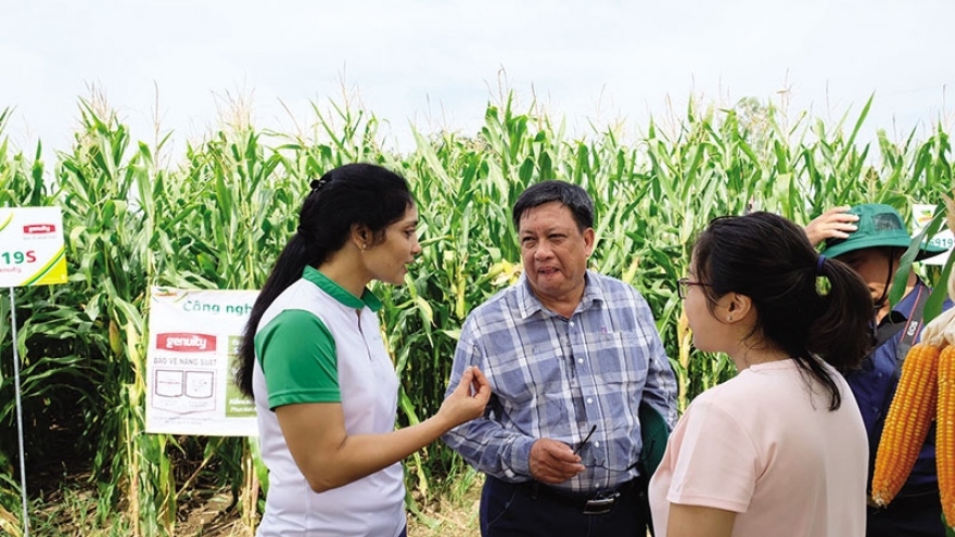 Tech can improve competitiveness of Vietnam’s corn