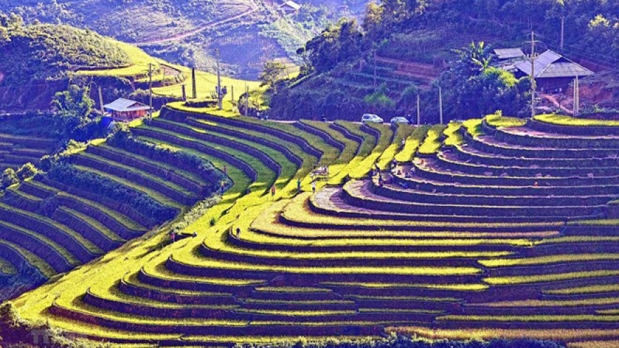 More than 5.5 million foreigners arrive in Vietnam in Jan-Apr