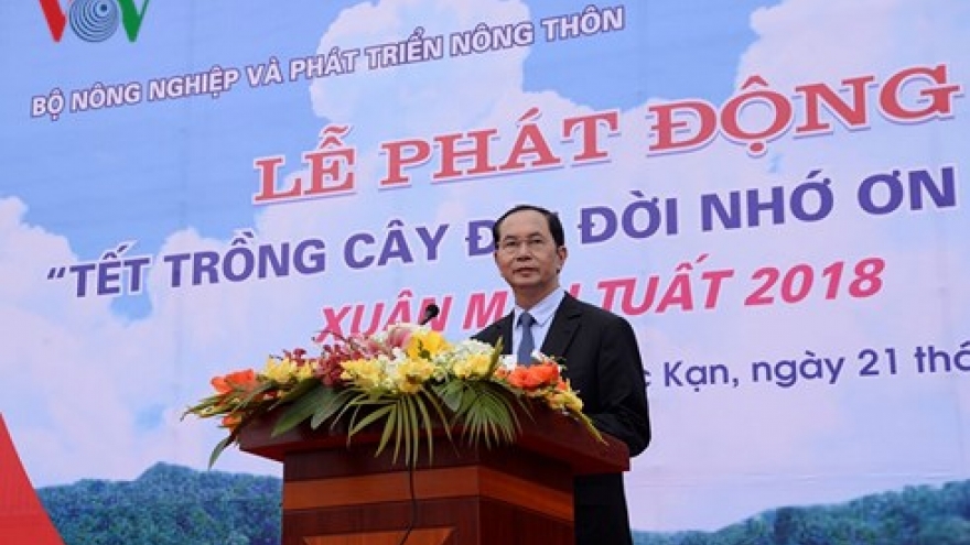 President launches New Year tree planting festival