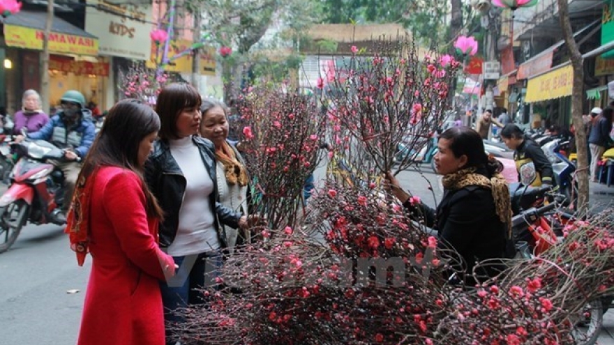 Prime Minister agrees on seven-day Tet holidays