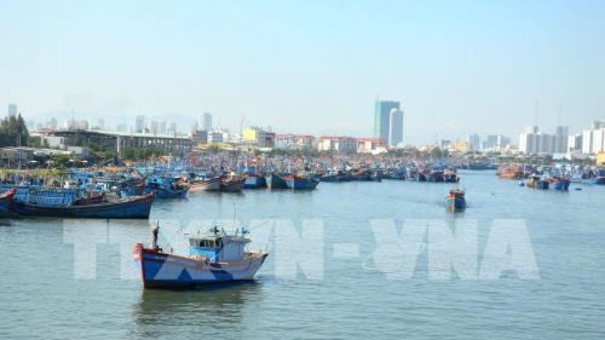 
        Thanh Hoa works to combat IUU fishing
                              