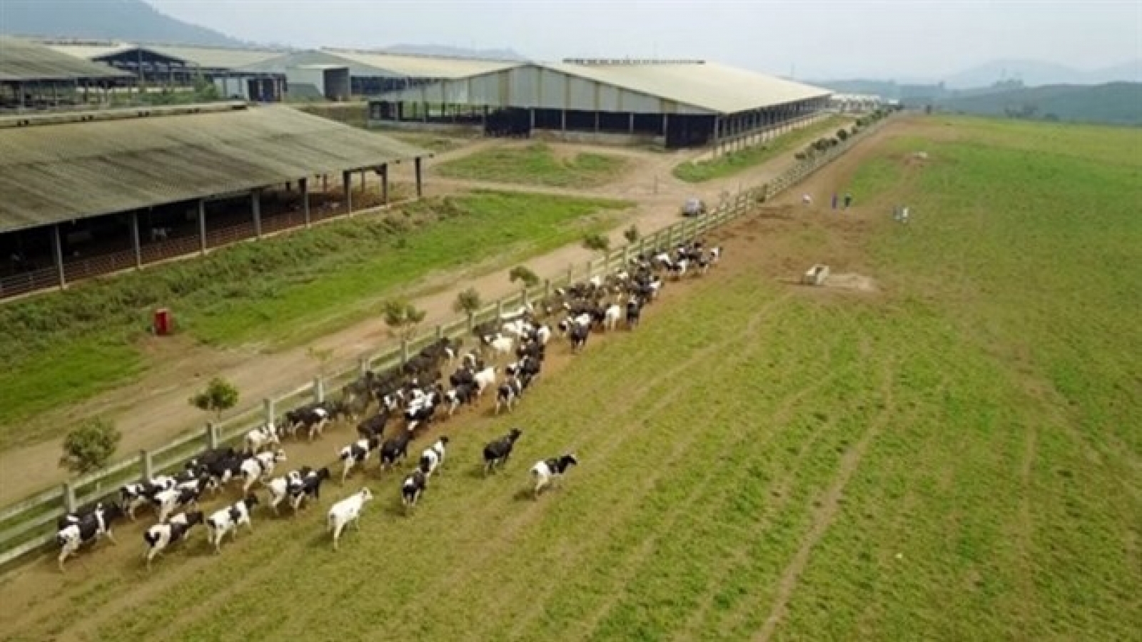 Farmers in central region urged to develop hi-tech agriculture
