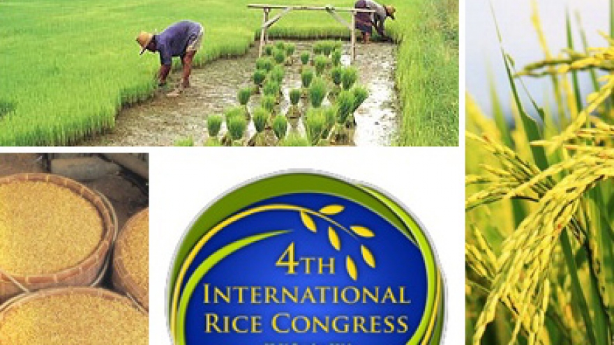 Promoting Thai rice globally