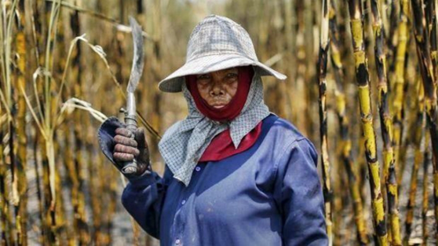 Thailand to overhaul sugar policy