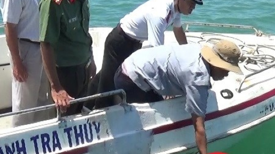 
        Rare hawksbill turtle released in Bac Lieu
                              
