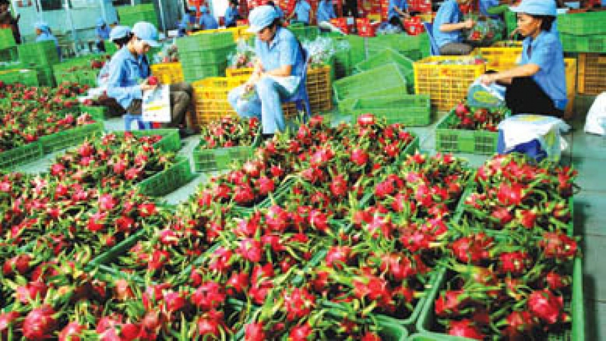 Dragon fruits gain New Zealand import approval
