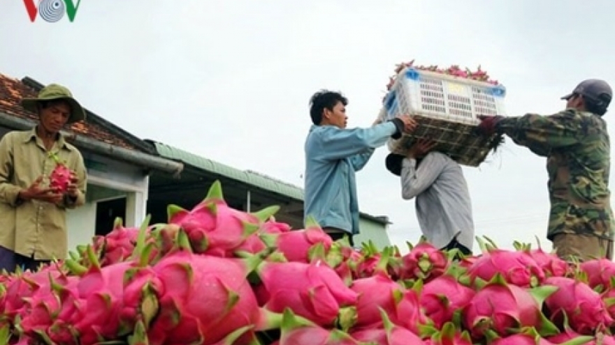 Businesses urged to follow consumer trends for RoK market penetration