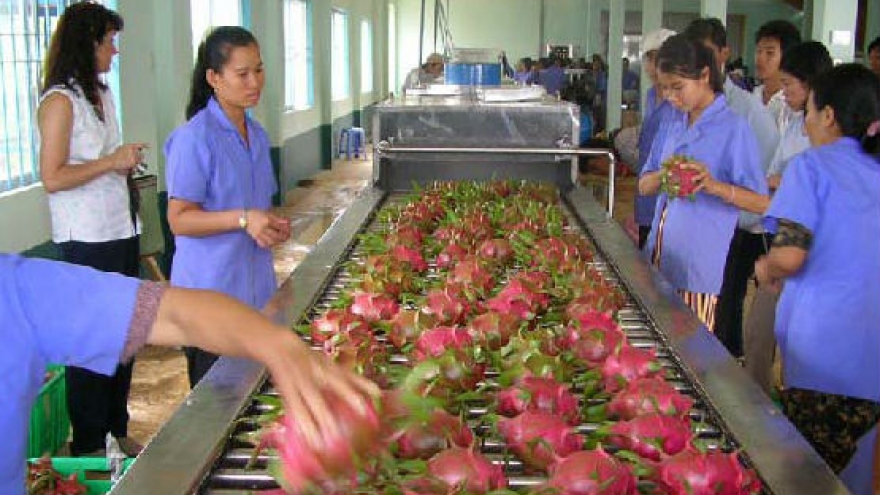 GCC holds great potential for Vietnam fruit exports