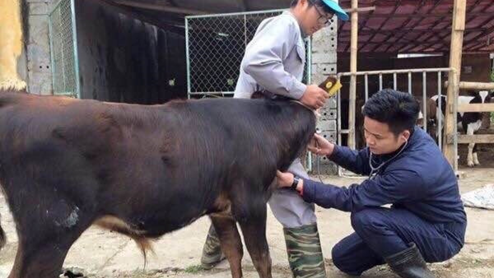 Young teacher creates employment opportunities for students