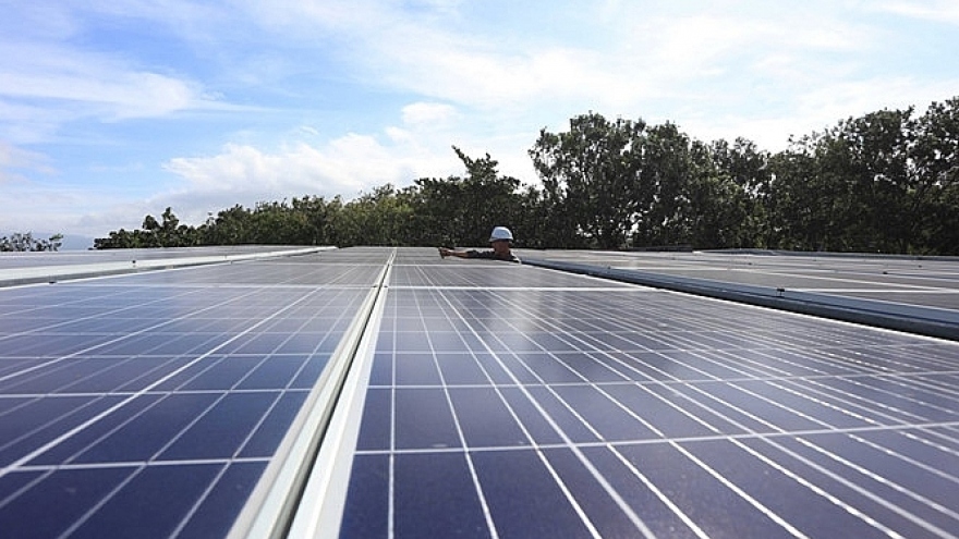 Second solar farm kicked off in Ninh Thuan