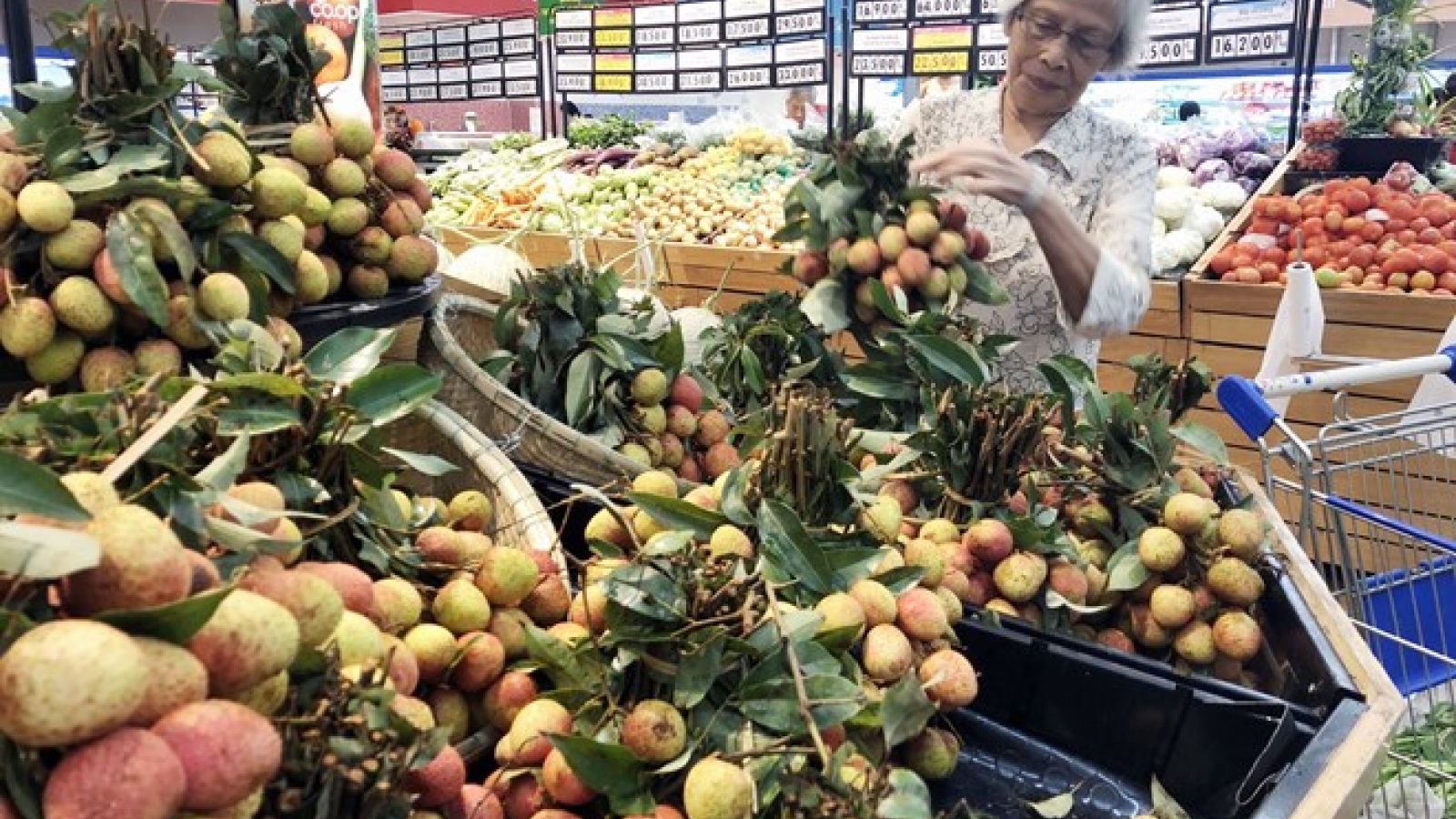 Luc Ngan “thieu” lychee to be promoted in Hanoi
