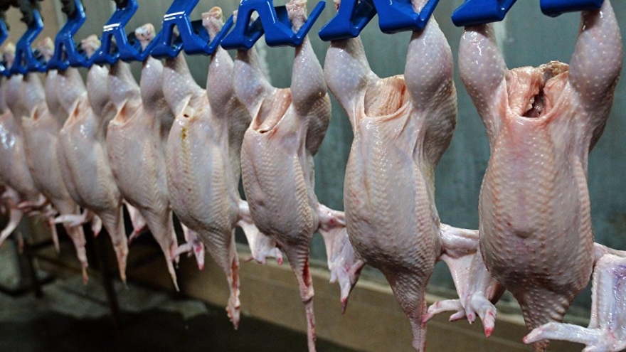  Japan allows chicken import from Vietnam