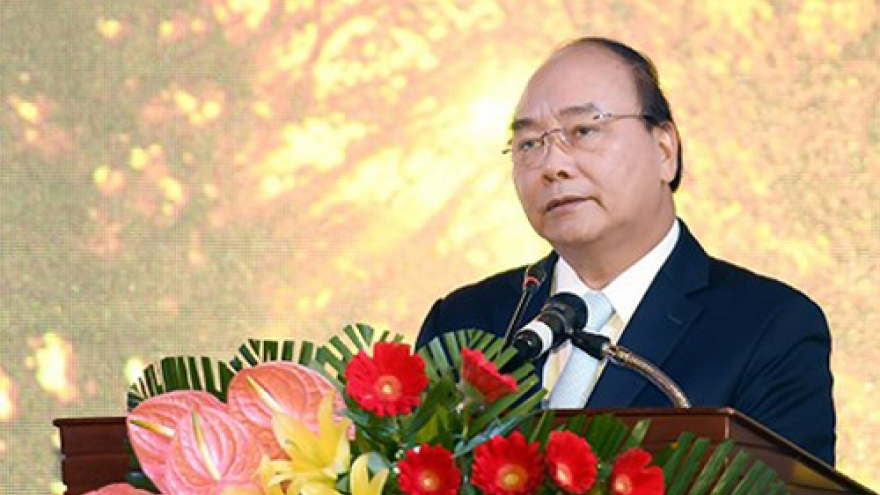 PM: Ngoc Linh ginseng needs protection as national brand