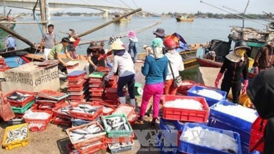 Thua Thien-Hue’s fishing output surges after maritime environment incident