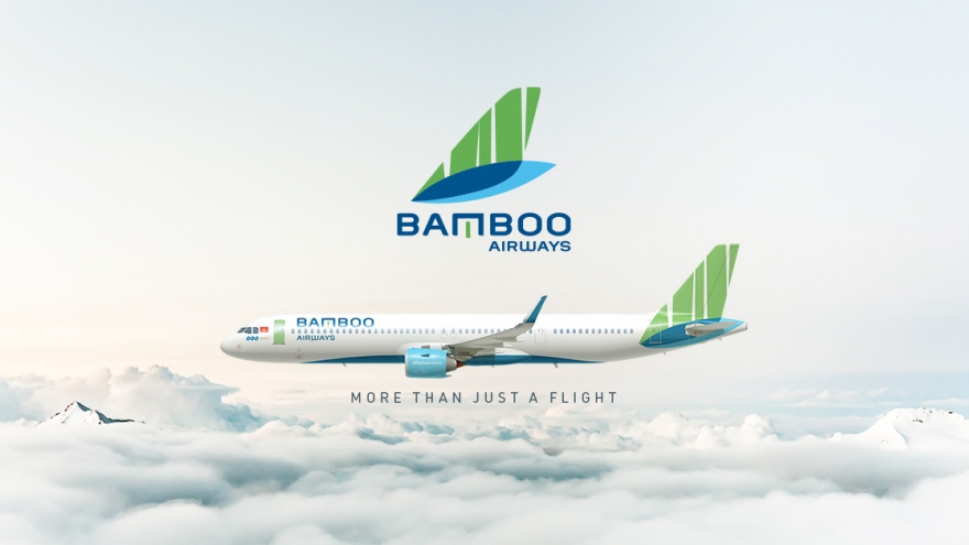 Bamboo Airways seeks six-fold increase in charter capital