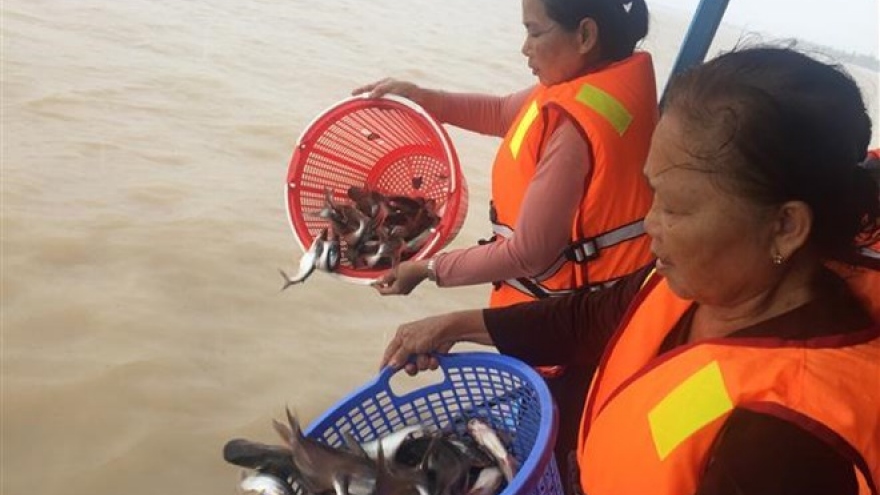 An Giang: 15 tonnes of fish released to protect biodiversity