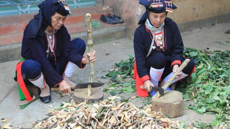 Medicinal herbs of the Dao people