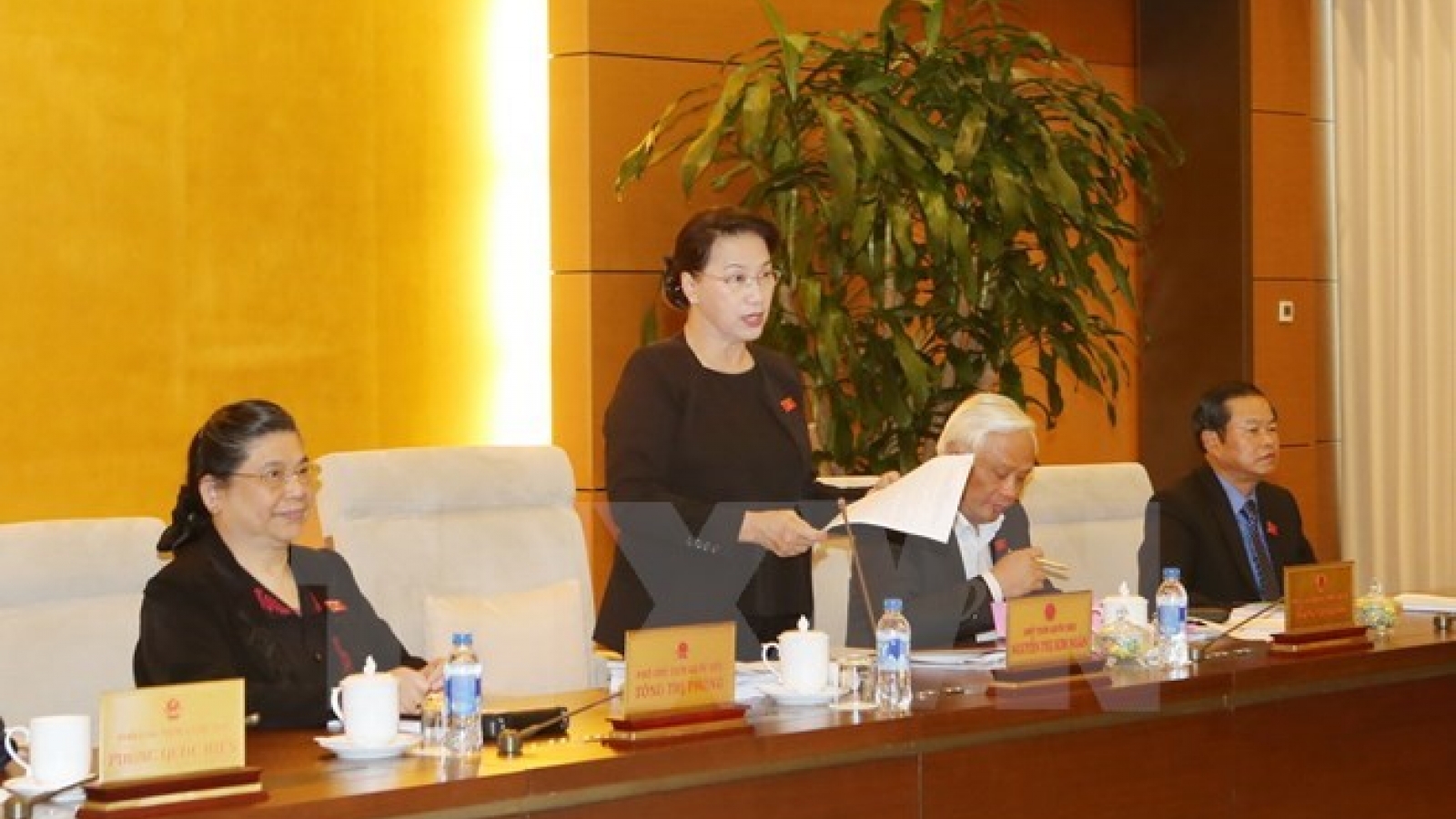 NA Standing Committee deliberates various issues