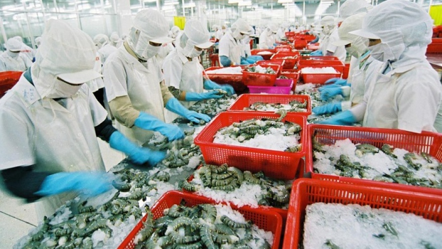 Shrimp exports tumble in 2018