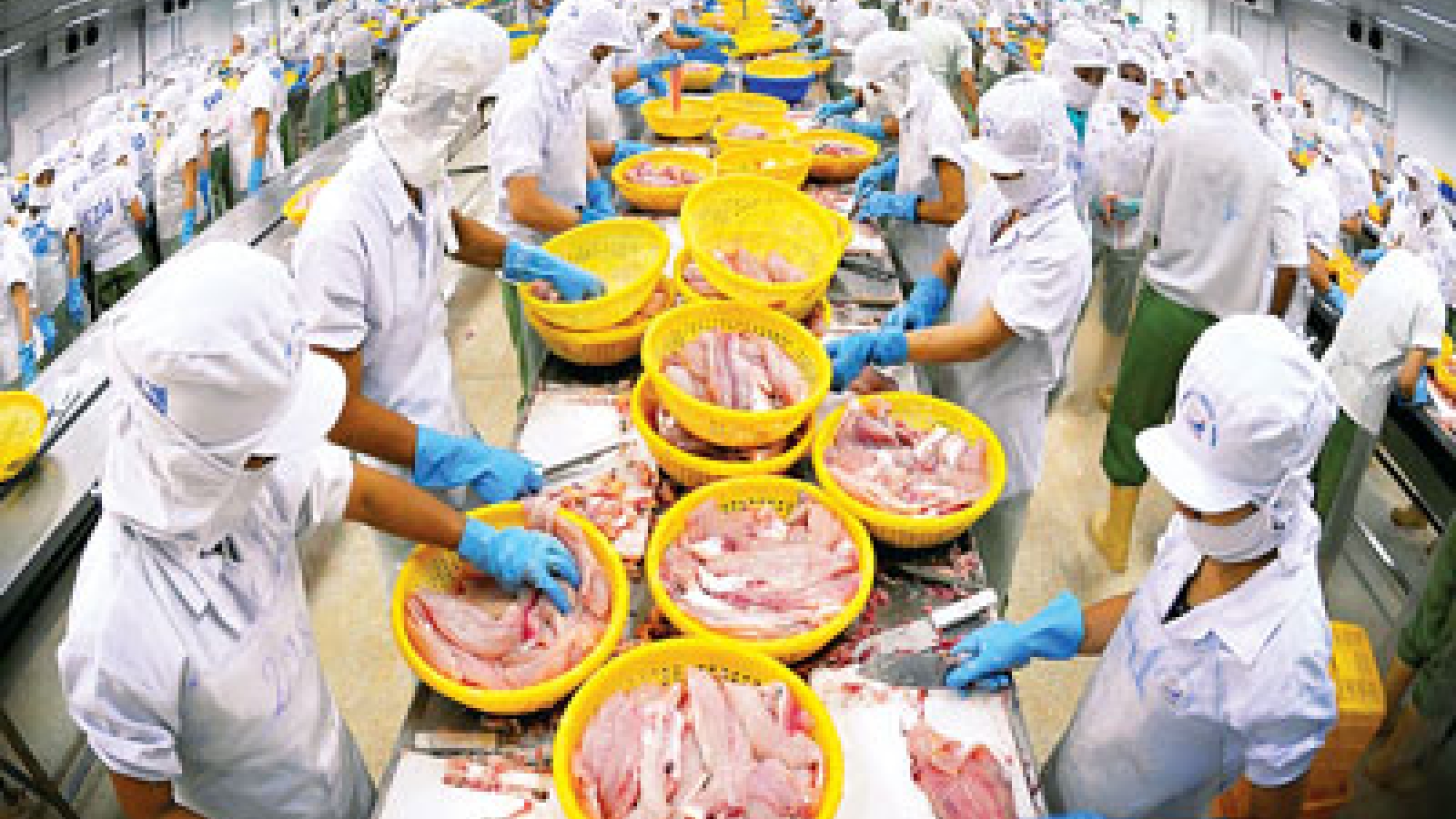 Agriculture, forestry and fishing exports jump 5.6%