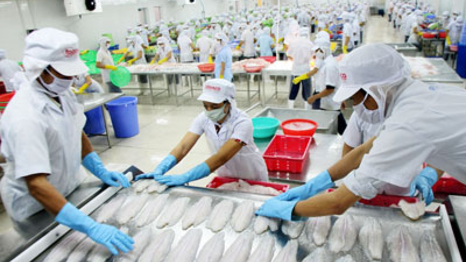 Seafood export forecast to surge