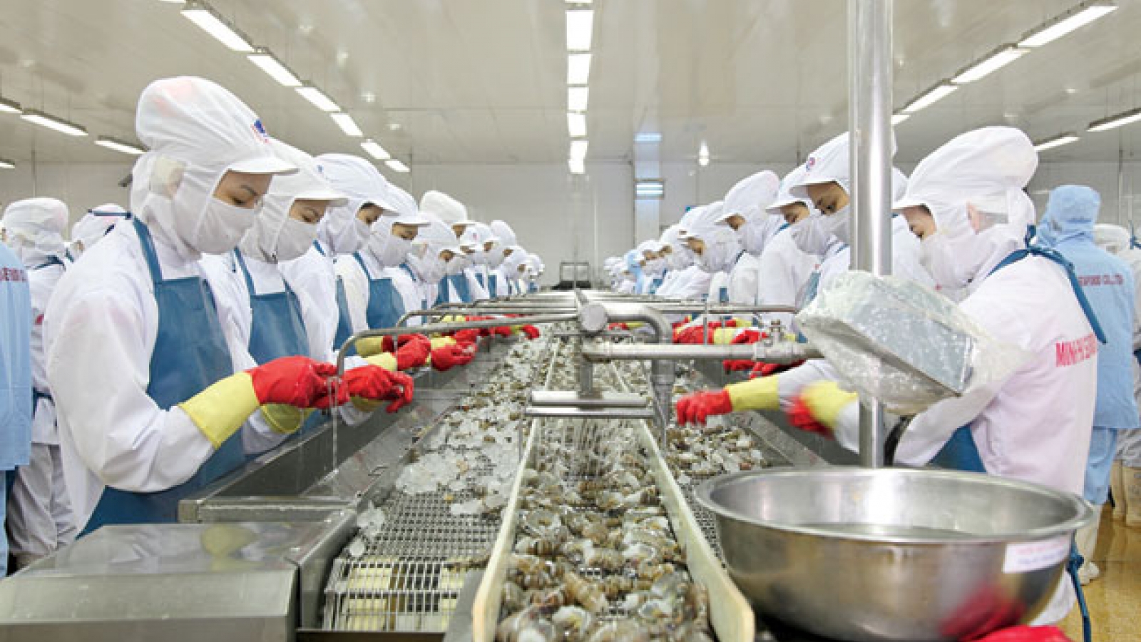 Fish and seafood exports jump 4.3%