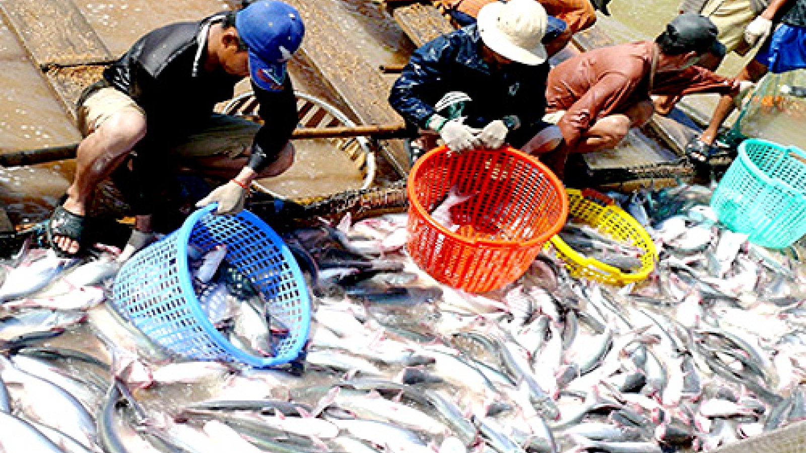 Agriculture industry aims for US$40 billion export target