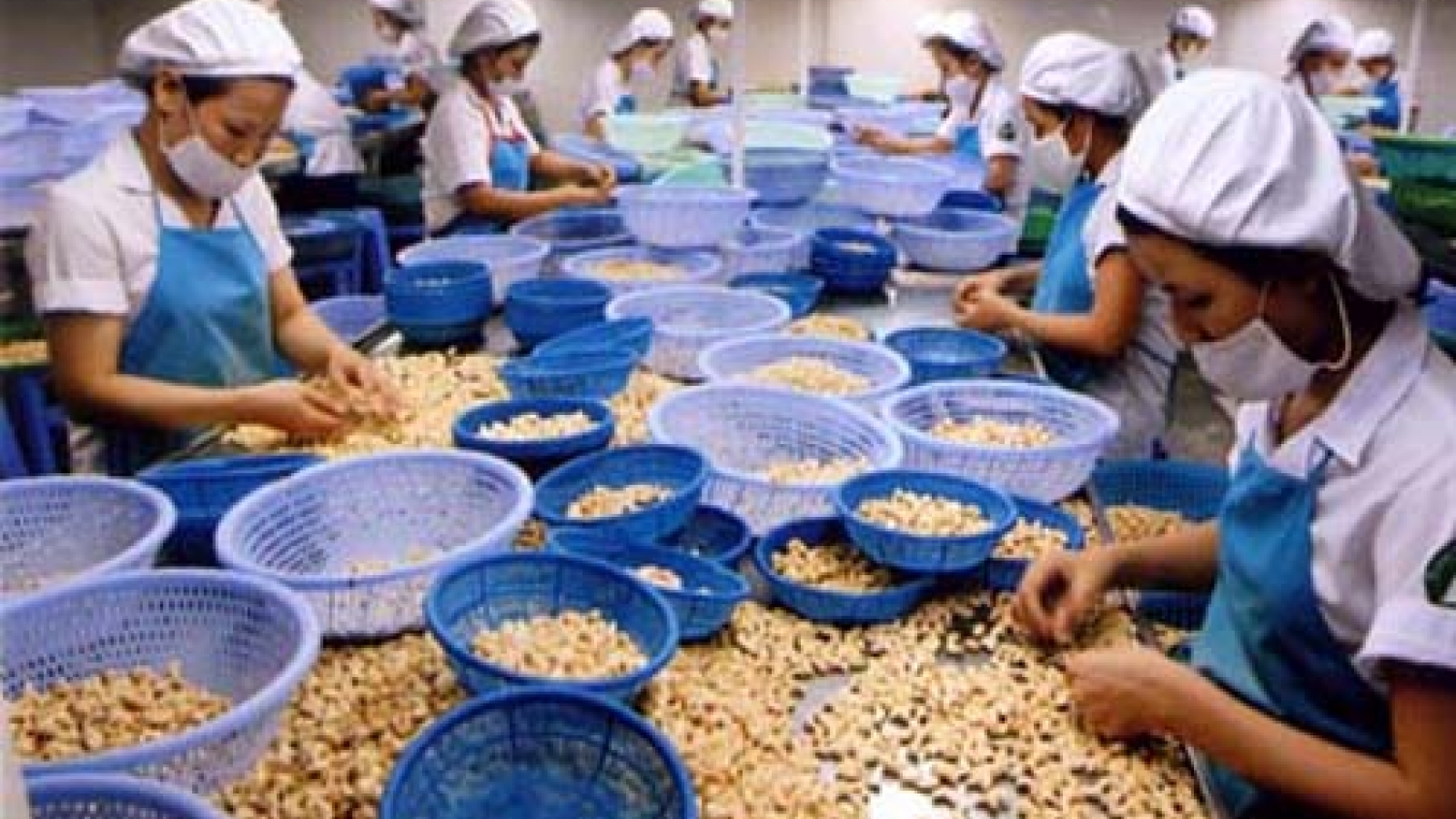 Agro-forestry-fishery exports near US$30 billion in ten months