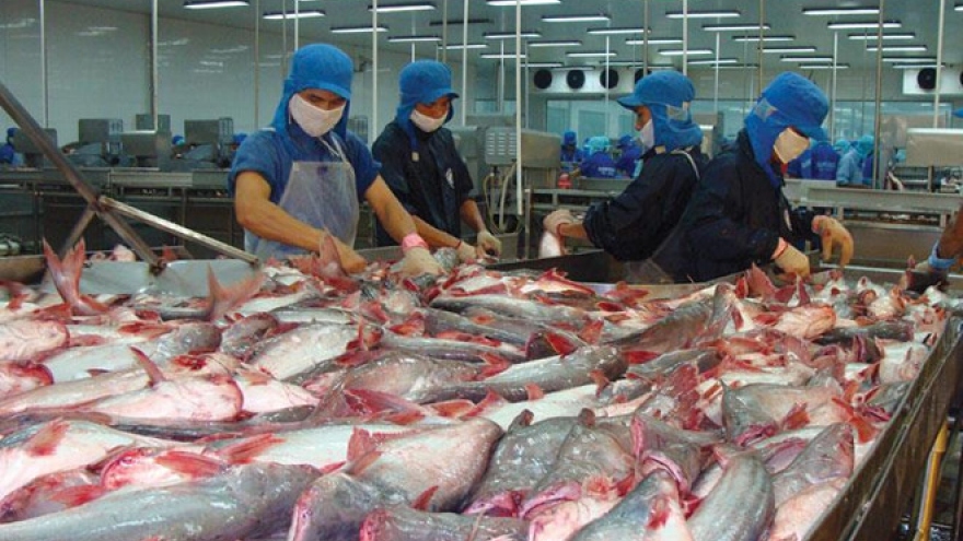 Series of Vietnamese exporters fall prey to Canadian scammer company