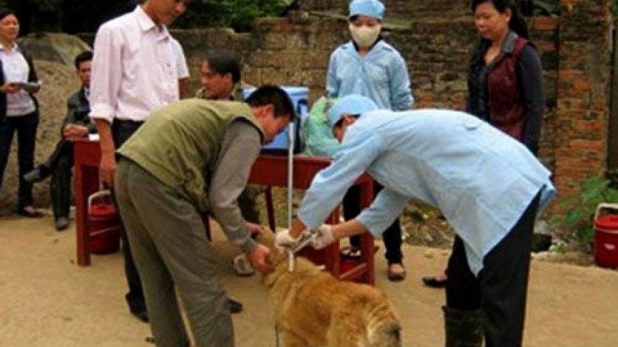 Vietnam responds to World Rabies Day