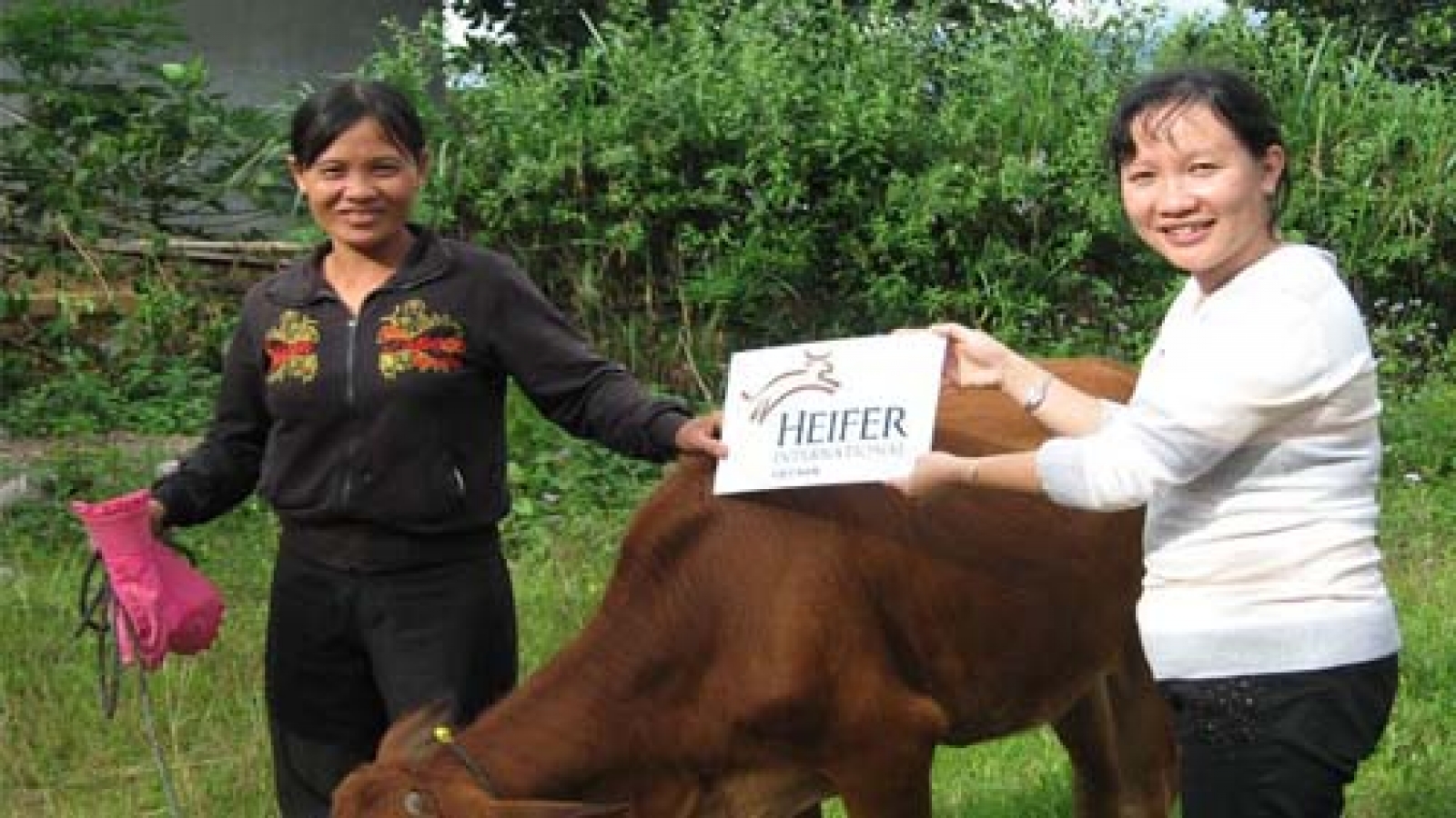 Tien Giang: Disadvantaged people supported to transform production