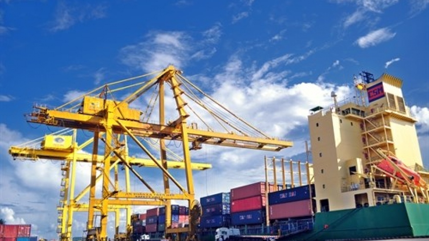 Tien Sa Port eyes world-class status