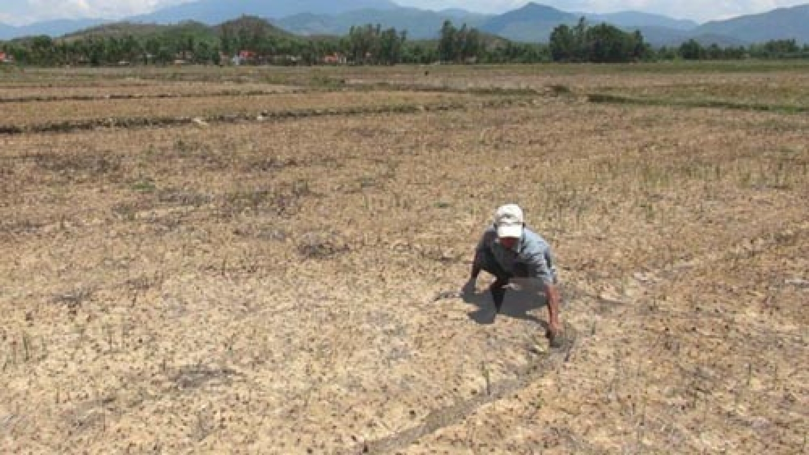 Tien Giang spends US$17 million on disaster-resistant projects