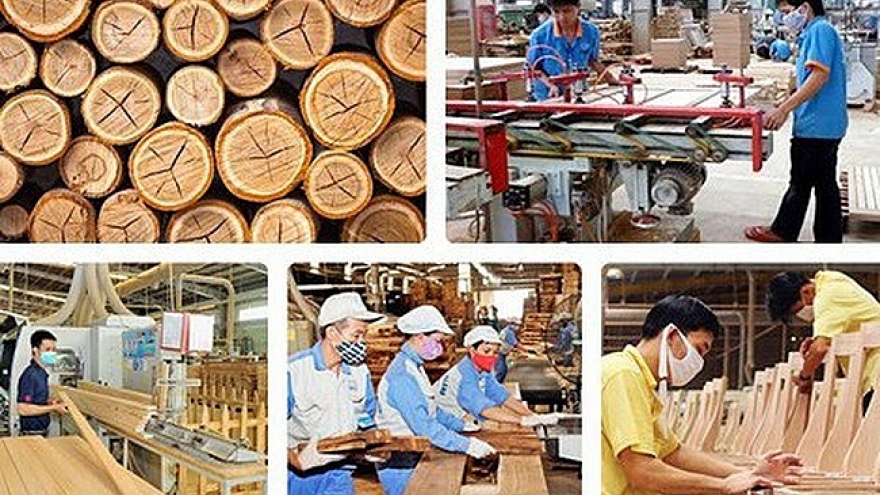 Timber companies in Vietnam: seizing the opportunity
