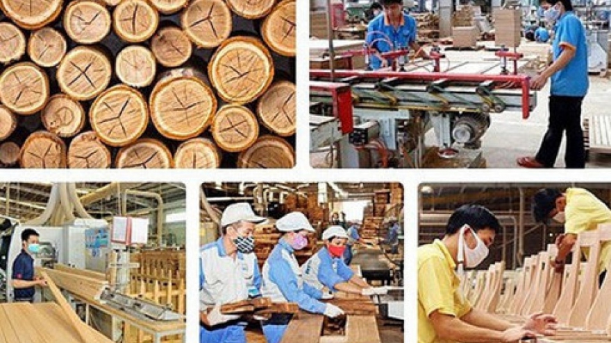 Vietnam looks to boost timber exports to EU
